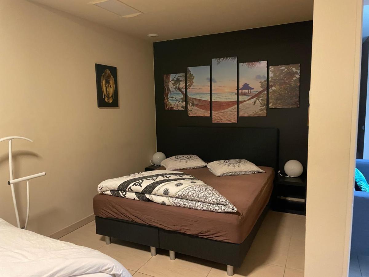 Vlaamse Ardennen Vakantiehuis Casa Caliente Met Wellness Avelgem Eksteriør billede